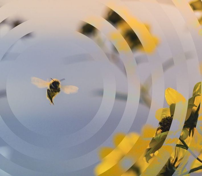 Duurzaamheid InterFaca