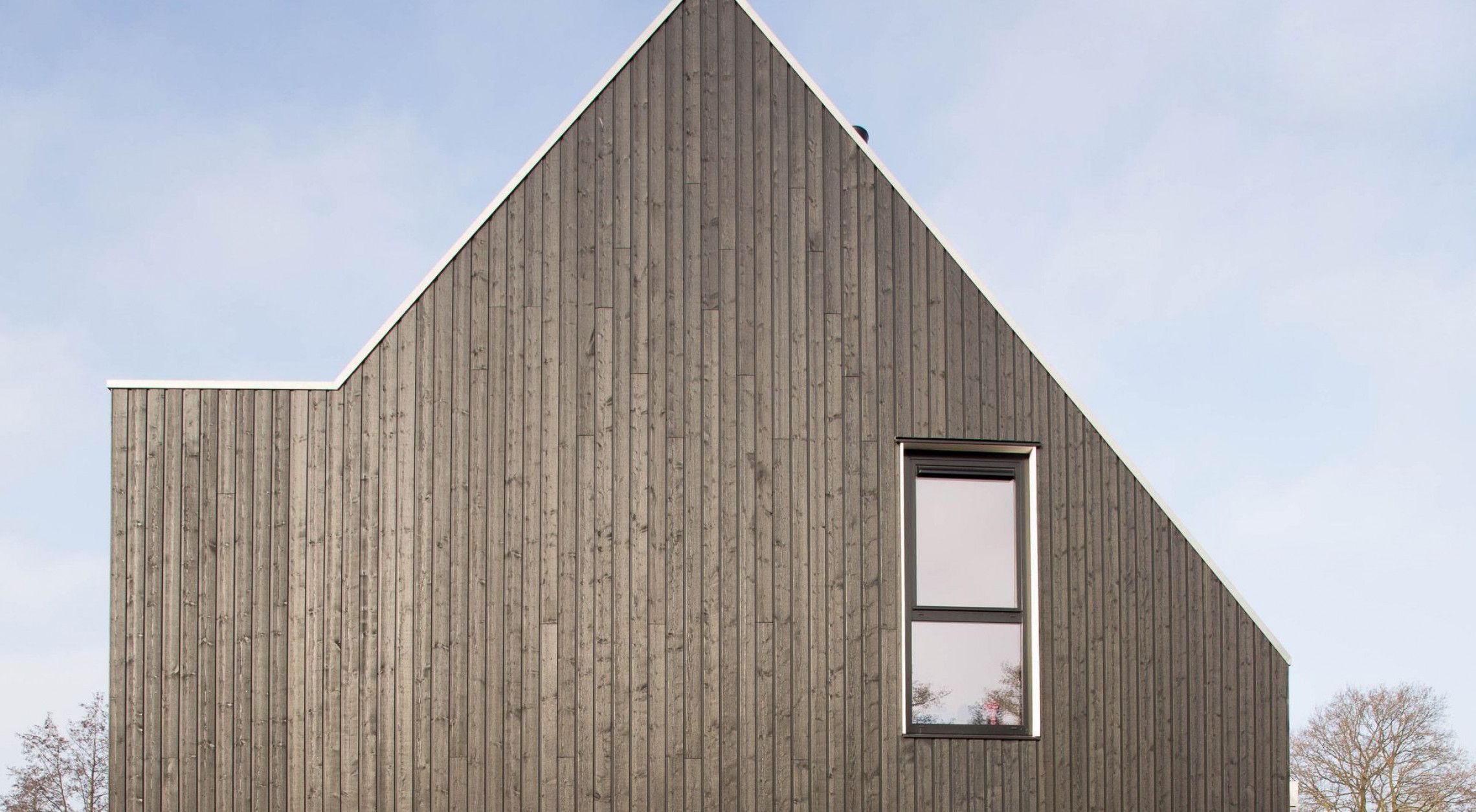 VäriWood channelsiding