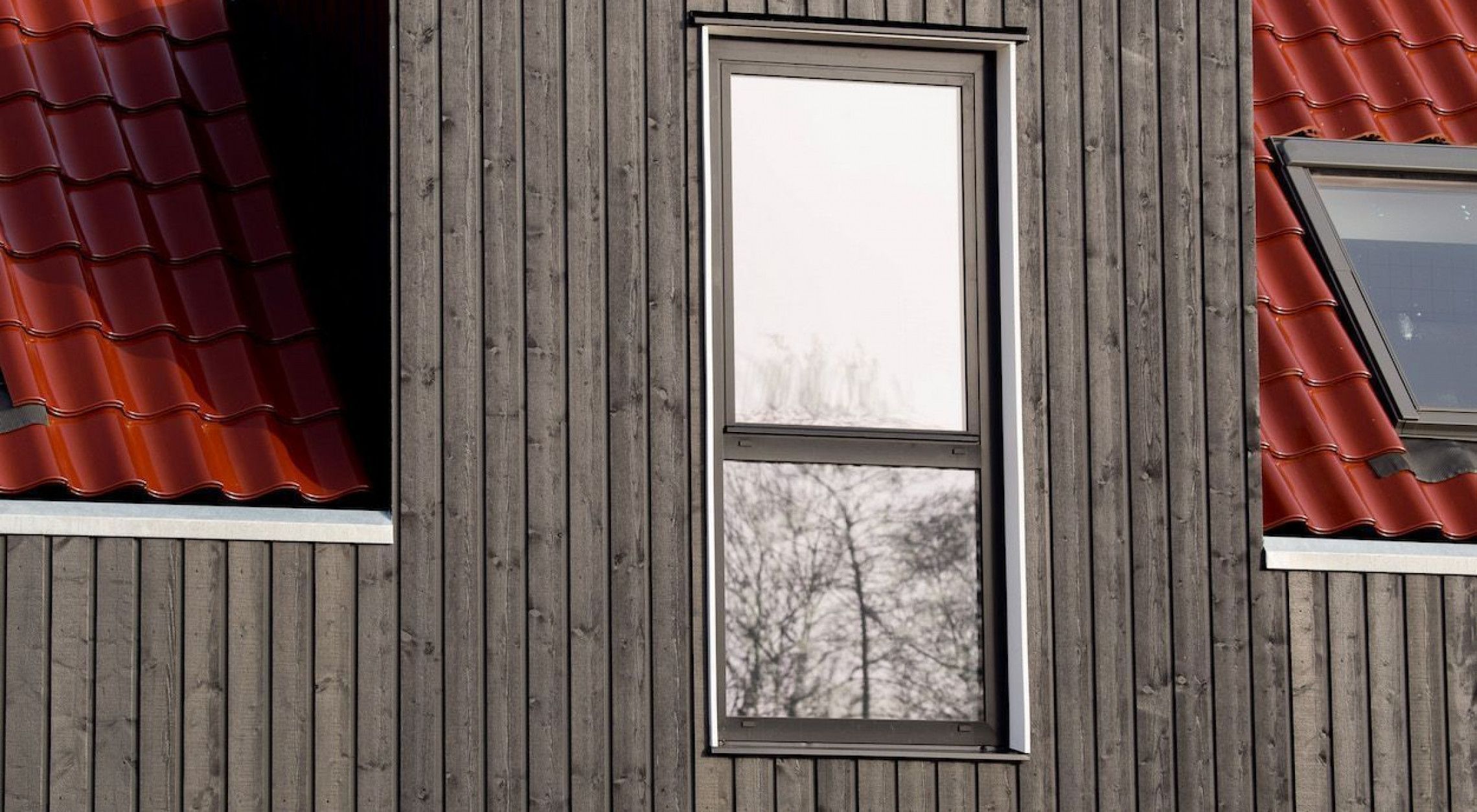 Duurzame gevel - VäriWood