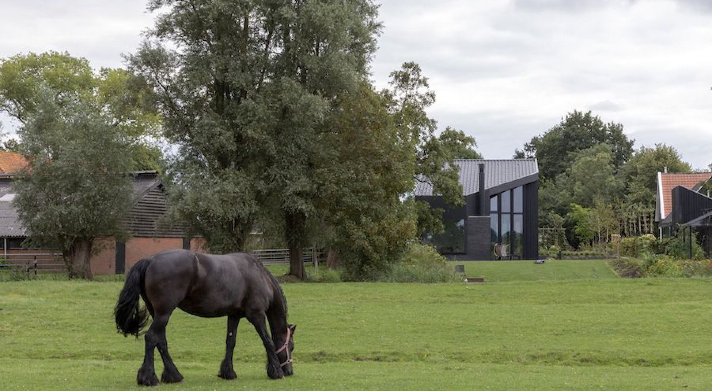 Erkerhuis Offingawier