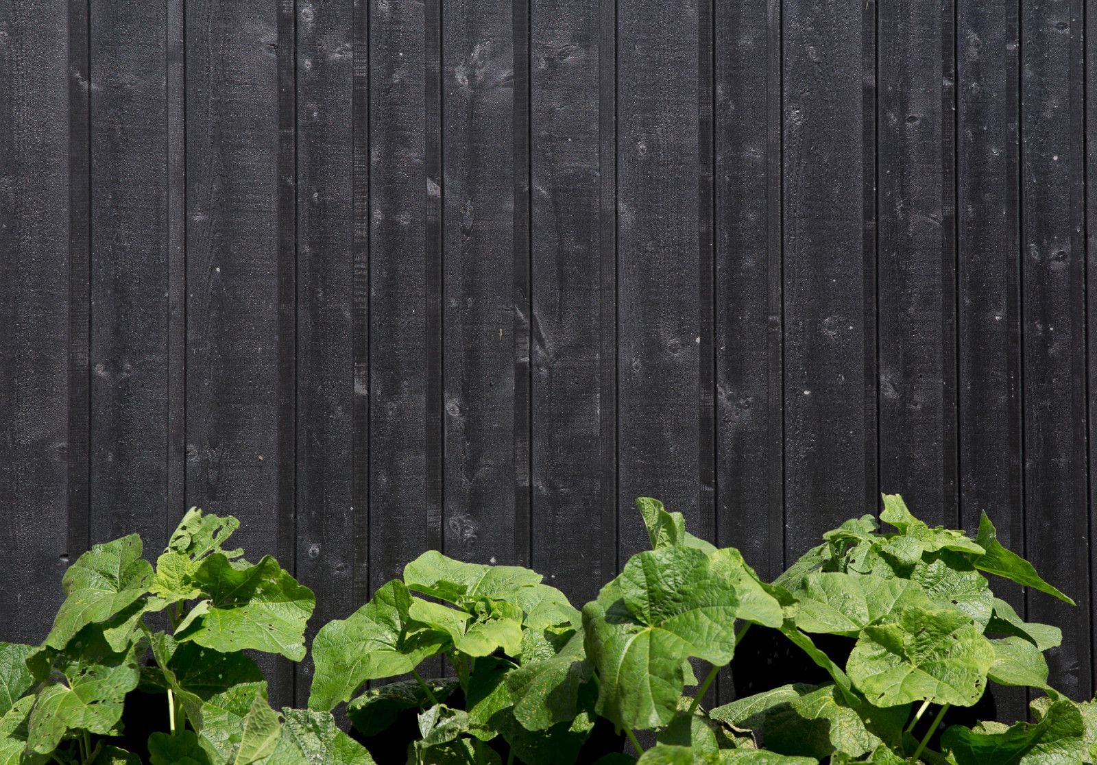 VäriWood channelsiding