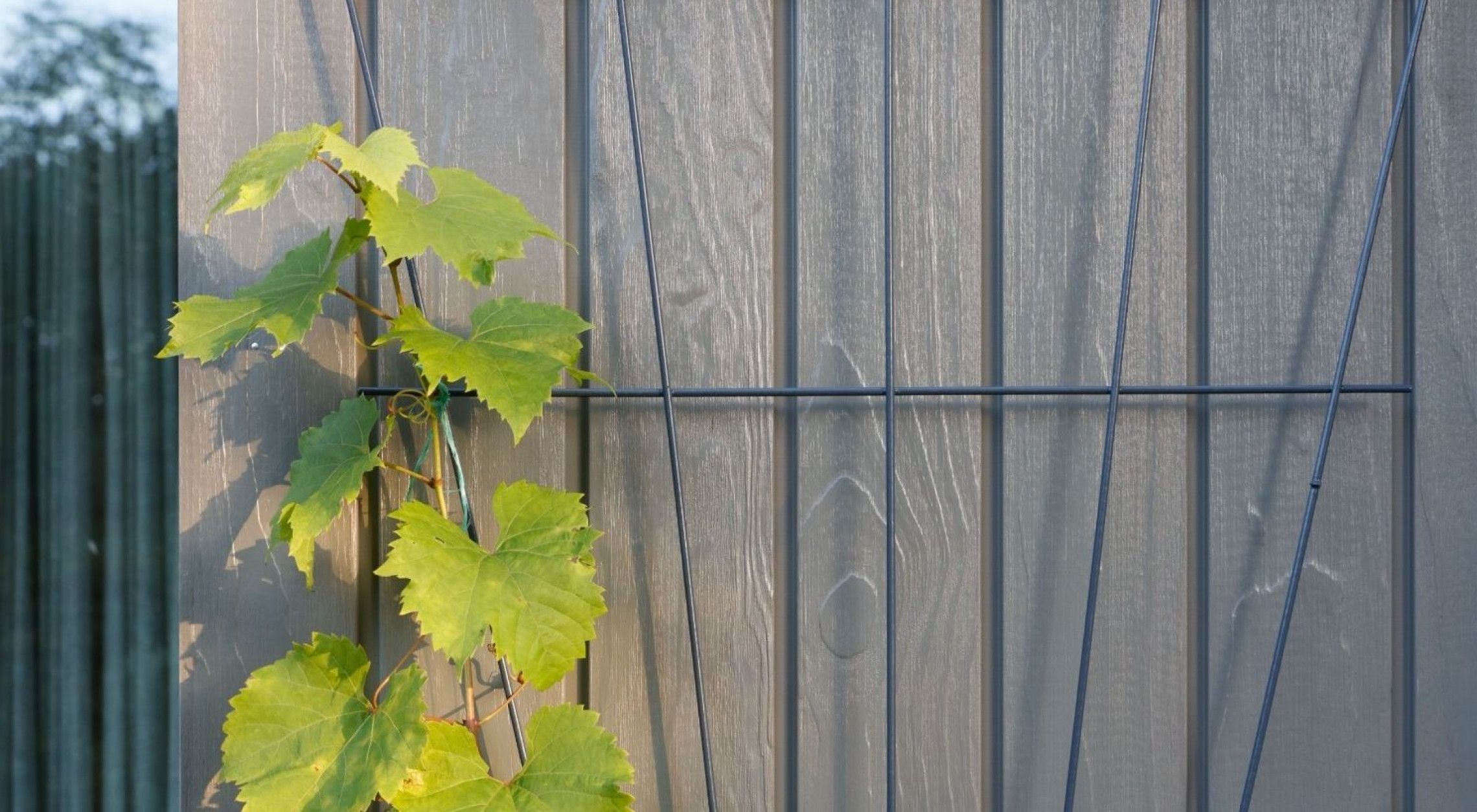 DumoWood Higline - Daytona Grey