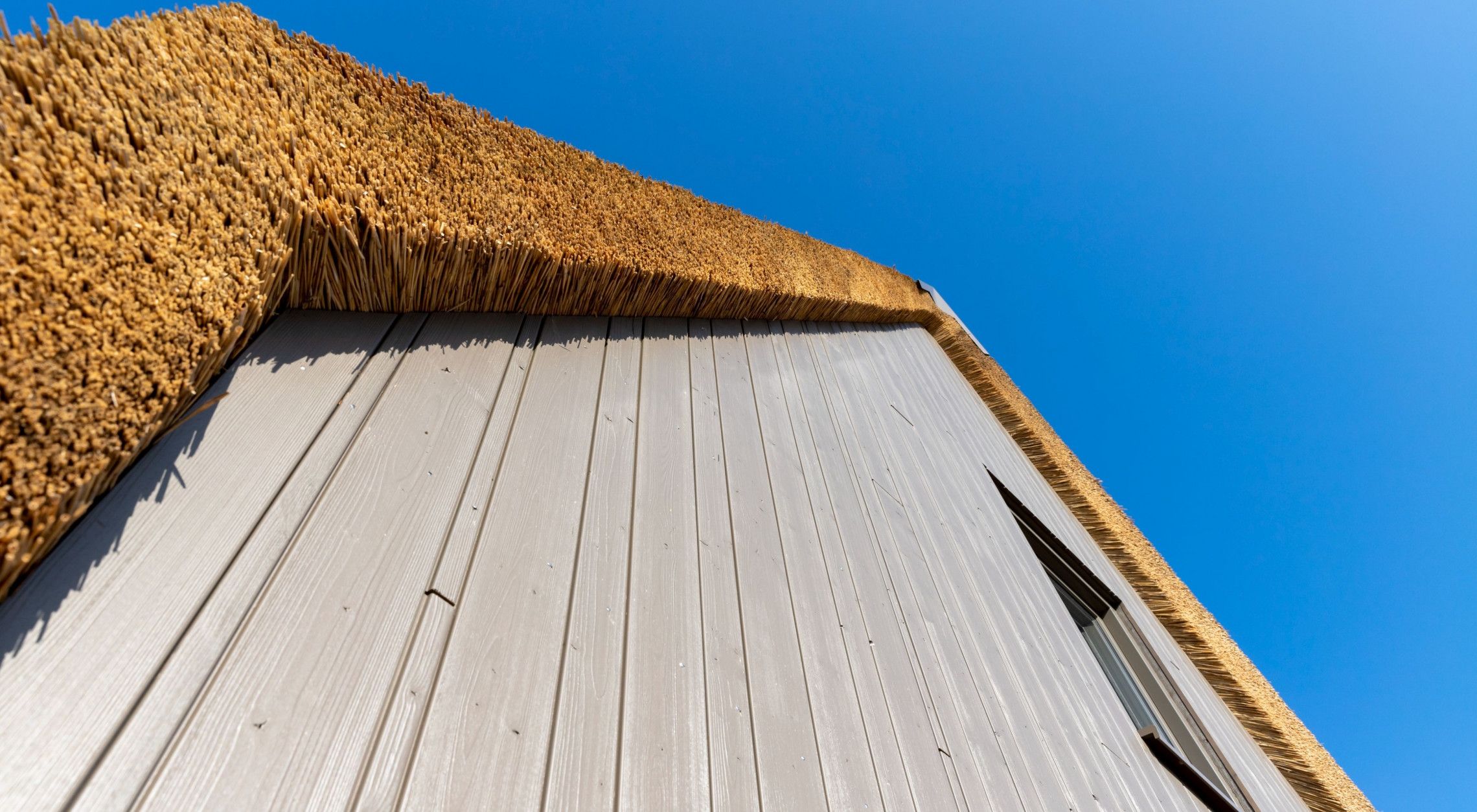 DumoWood - Shiplap profiel