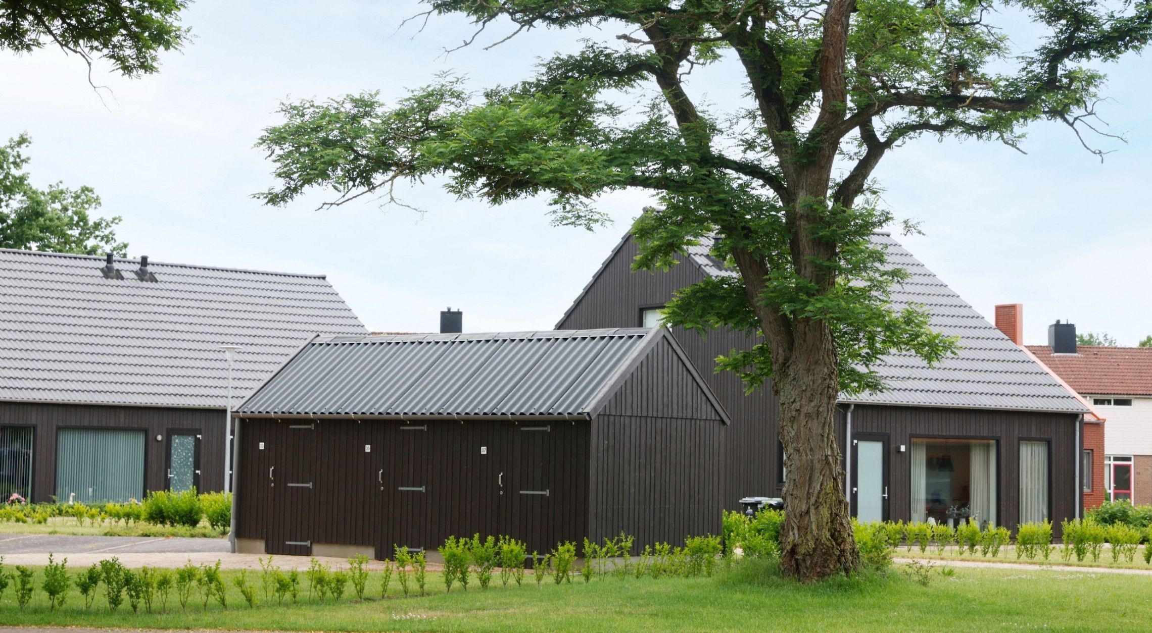 Brinkwonen in Schoonoord