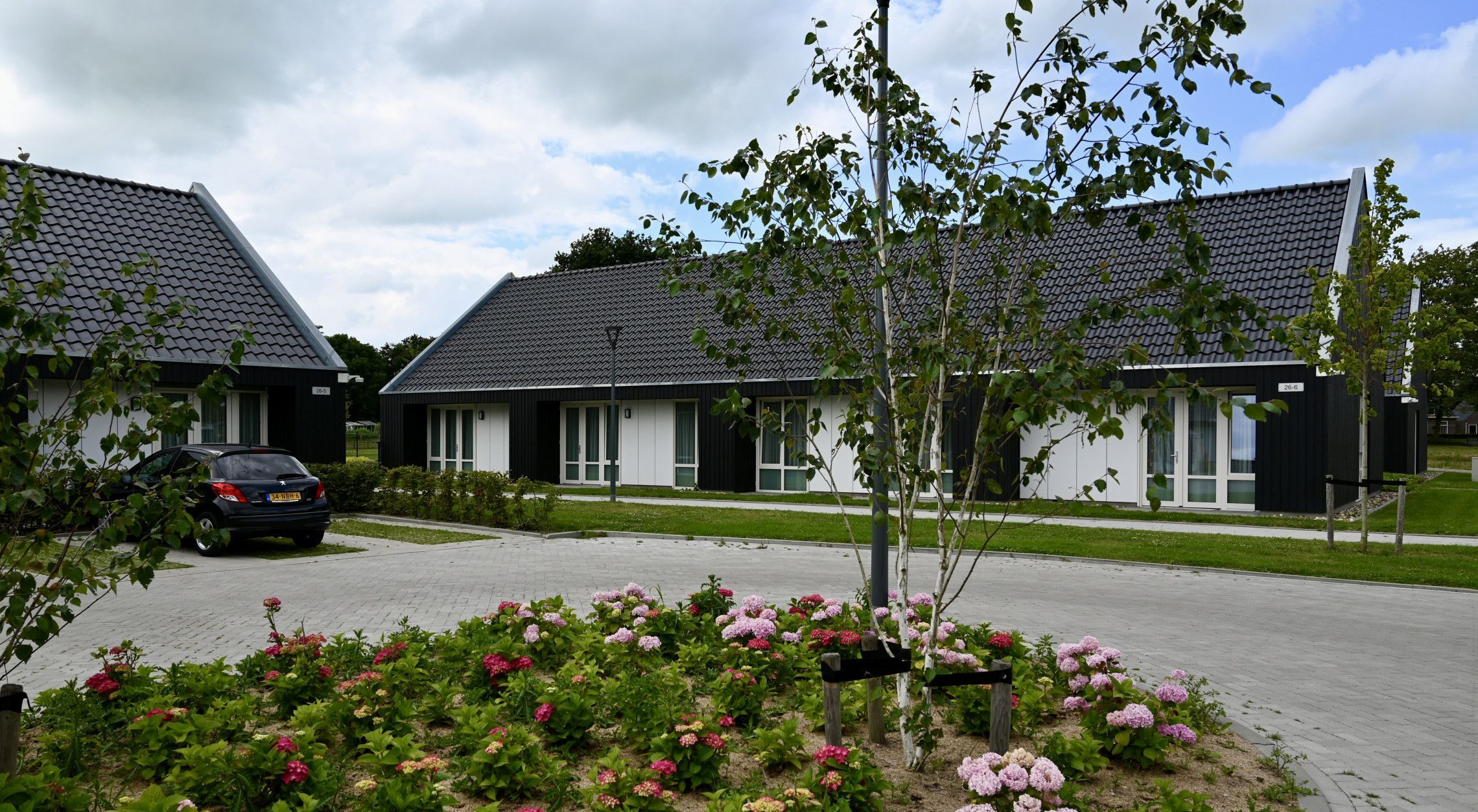 Houten gevelbekleding - VäriWood