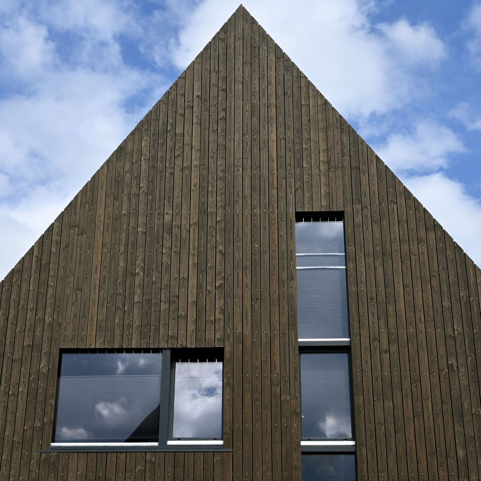 DumoWood board - IF 100138