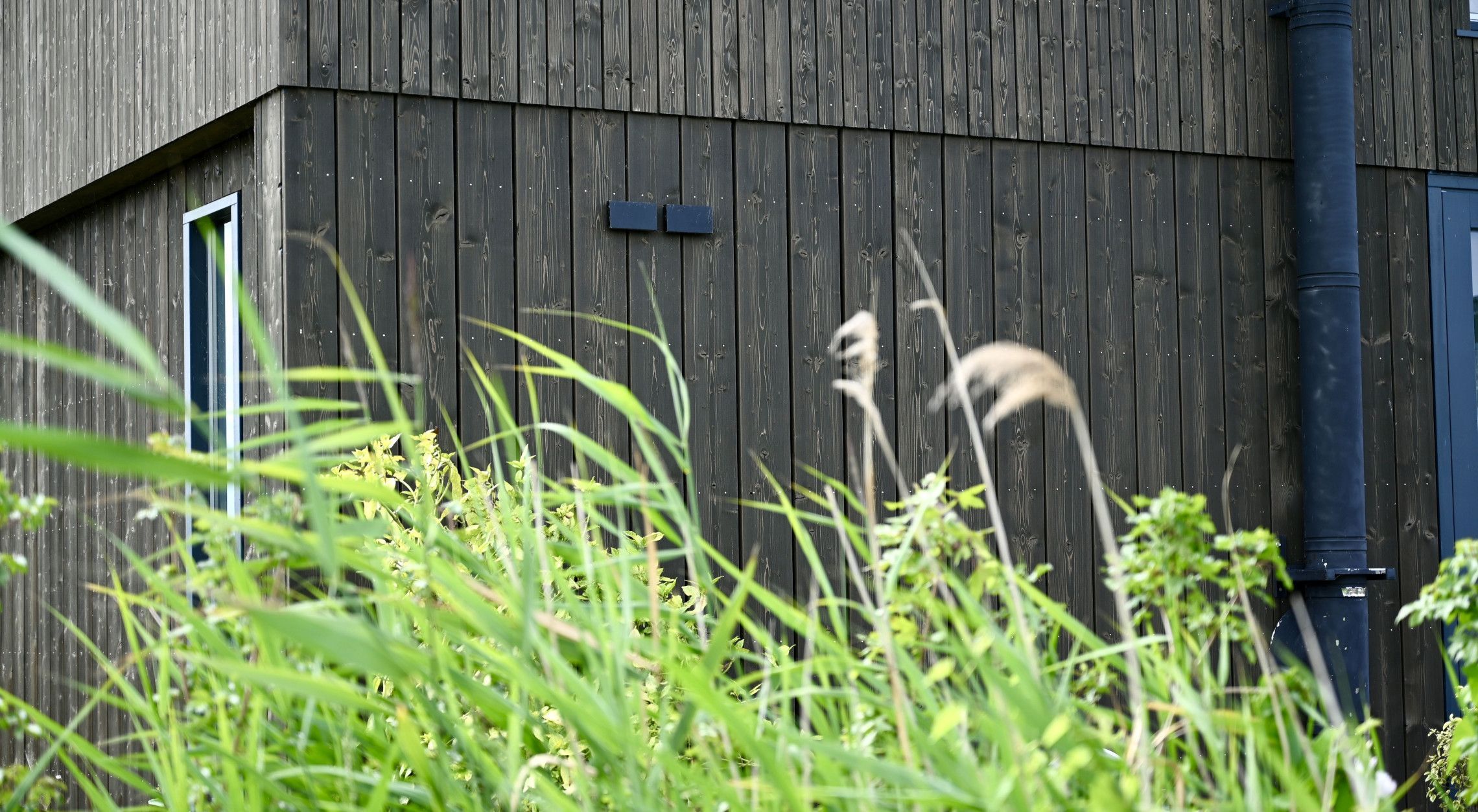 DumoWood IF100138 - board