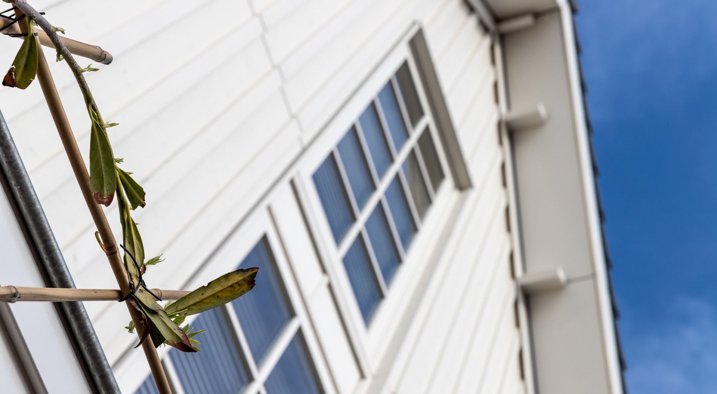 Waterrijk wonen langs de kreken - Voorhout