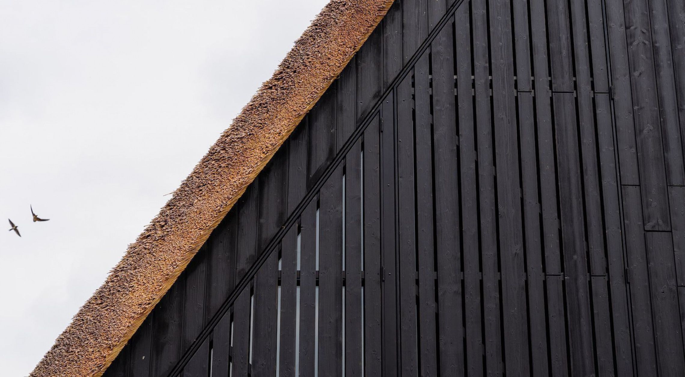 Dumowood channelsiding en board R3