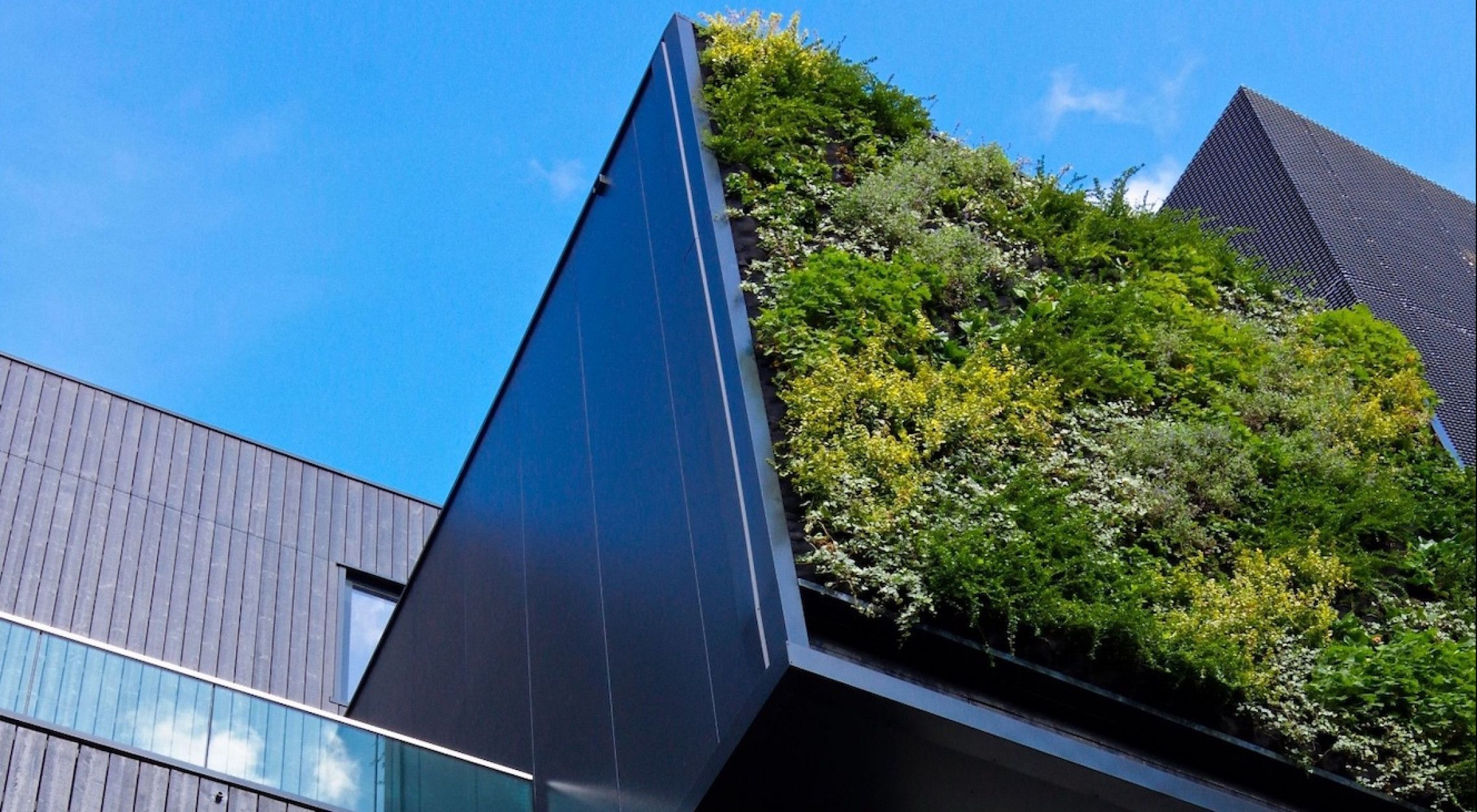 Houten gevelbekleding - VäriWood